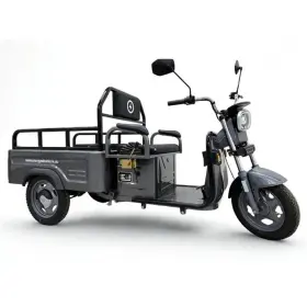 Elektrická nákladná trojkolka Energy Adventure ADVENTO 2, redukcia rýchlosti, 32Ah, sivá