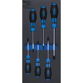 Sada skrutkovačov v penovej výplni, Torx, 6 ks - B4078