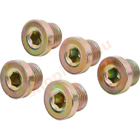 Sada olejových výpustí pre BGS 126, M17 x 1,5 mm, 5 ks - B126-SM17