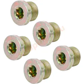 Sada olejových výpustí pre BGS 126, M20 x 1,5 mm, 5 ks - B126-SM20