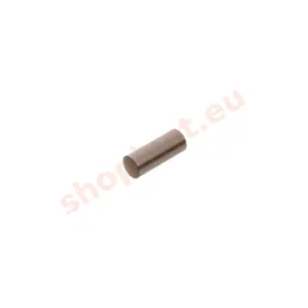 Kolík 8m 6x20 motor MZ ETZ 125 150