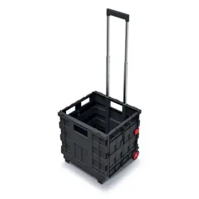 Prepravka Kistenberg skladacia s madlom CART