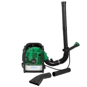 Fukar na lístie, benzínový, 2500 W - HTG840704