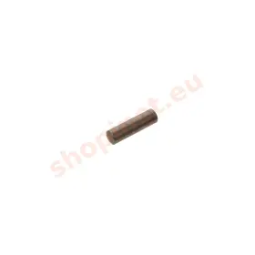 Kolík 6m 6x20 karter, polovica motora MZ ETZ 125 150