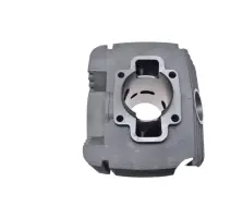 CYLINDER MZ ETZ 300 FEZ